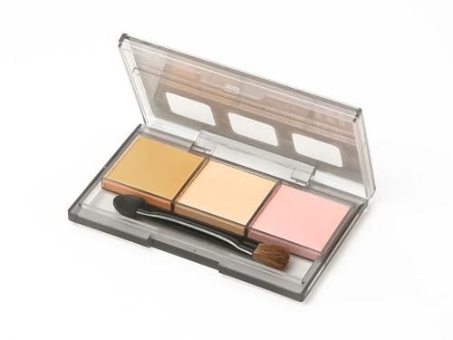 Tamiya Weathering Master H Set Figure Skin Tone Powder Makeup Tool 87127 NEW