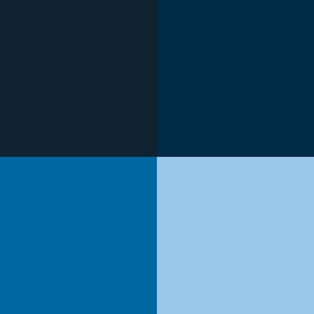 – Blue Color Set | Game Color | Contains 4 Bottles X 18 Ml (0.60 Fl.Oz.)