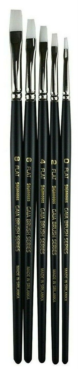 Gaianotes Gaia Brush Series BFS01 Flat Brush Set (Set of 5) 81110