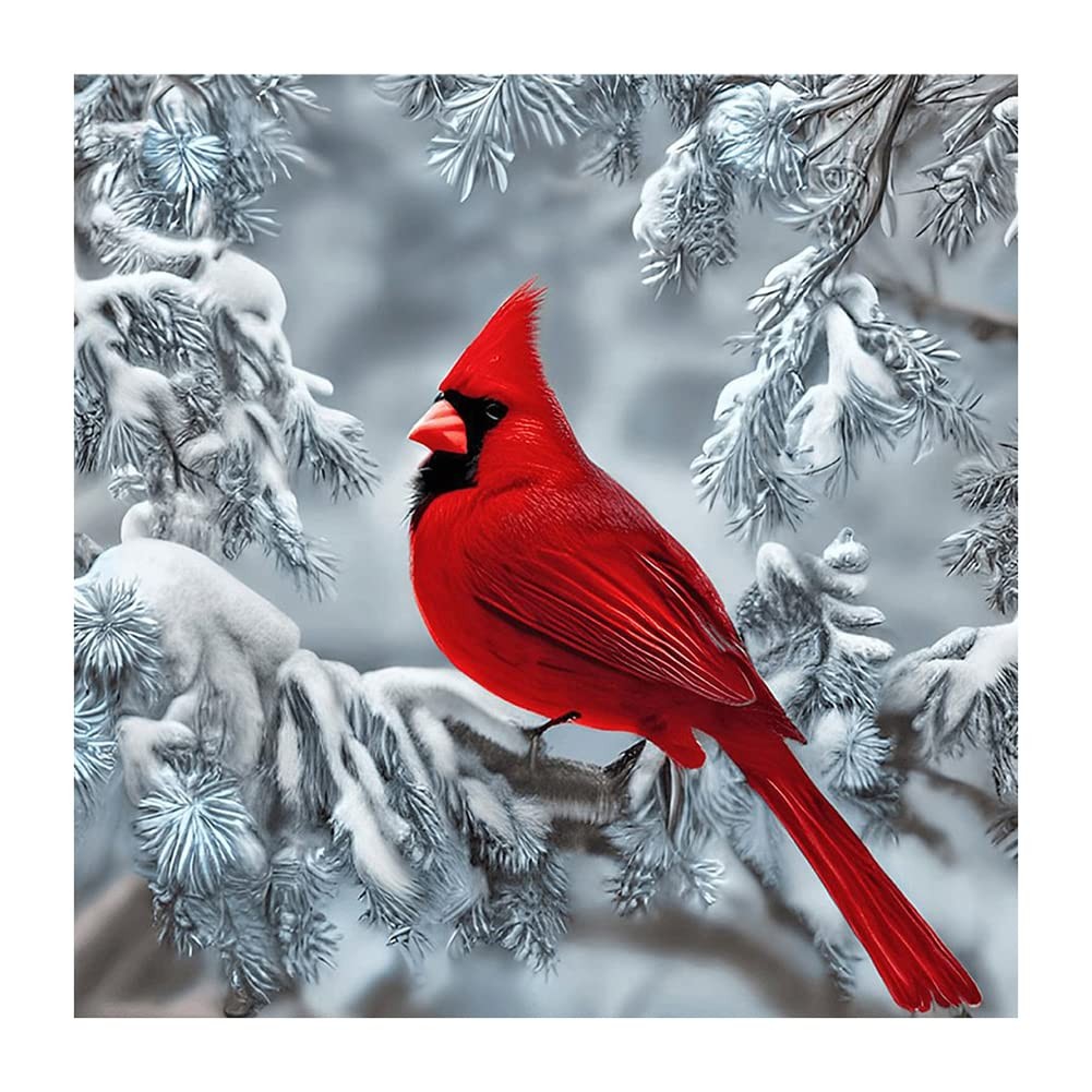 Stalente Diamond Painting Kits for Adults, Cardinal 30cm x 30cm, White, Red
