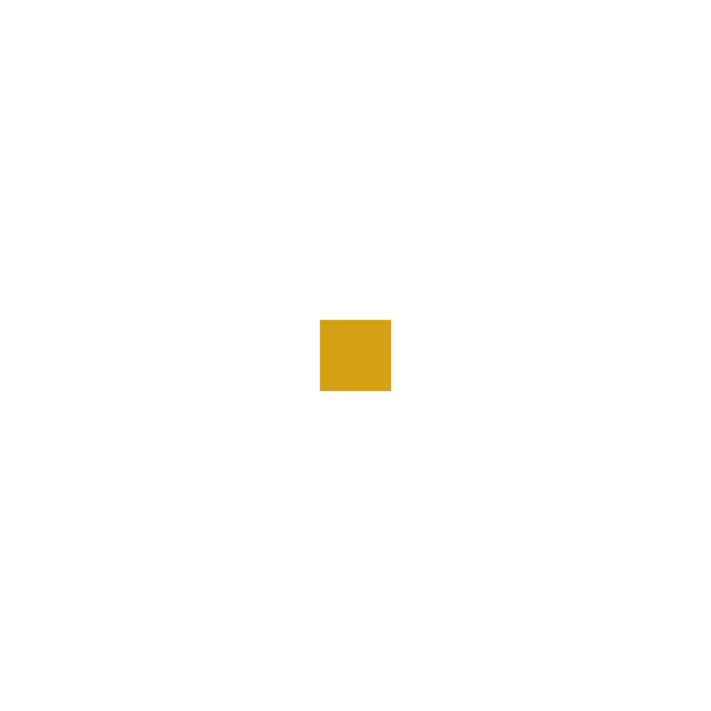Krylon K15151002 ColorMaster Paint + Primer, 12 Ounce (Pack of 1), Gold