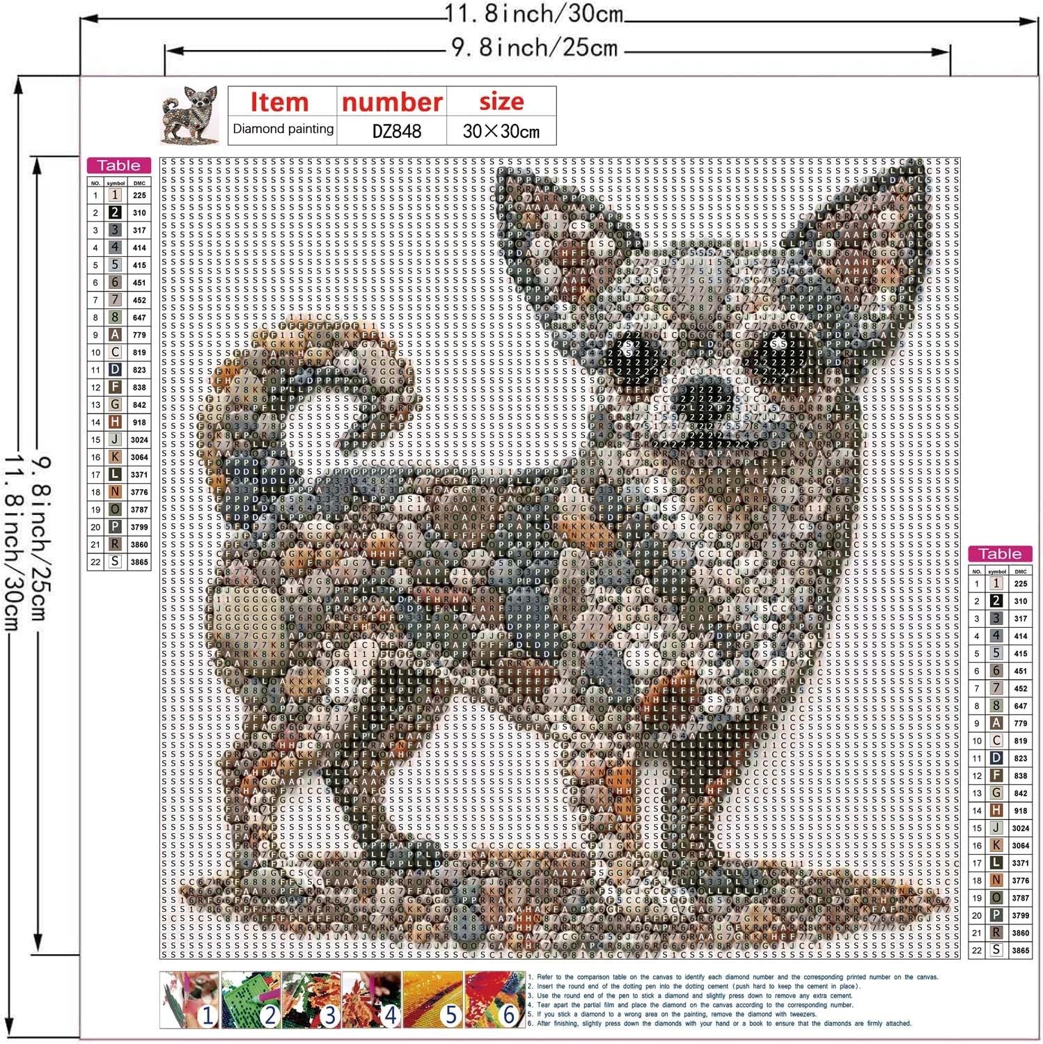 ZHUDENGXJL Diamond Art Kits for Adults 12 inches x 12 inches, DZ848