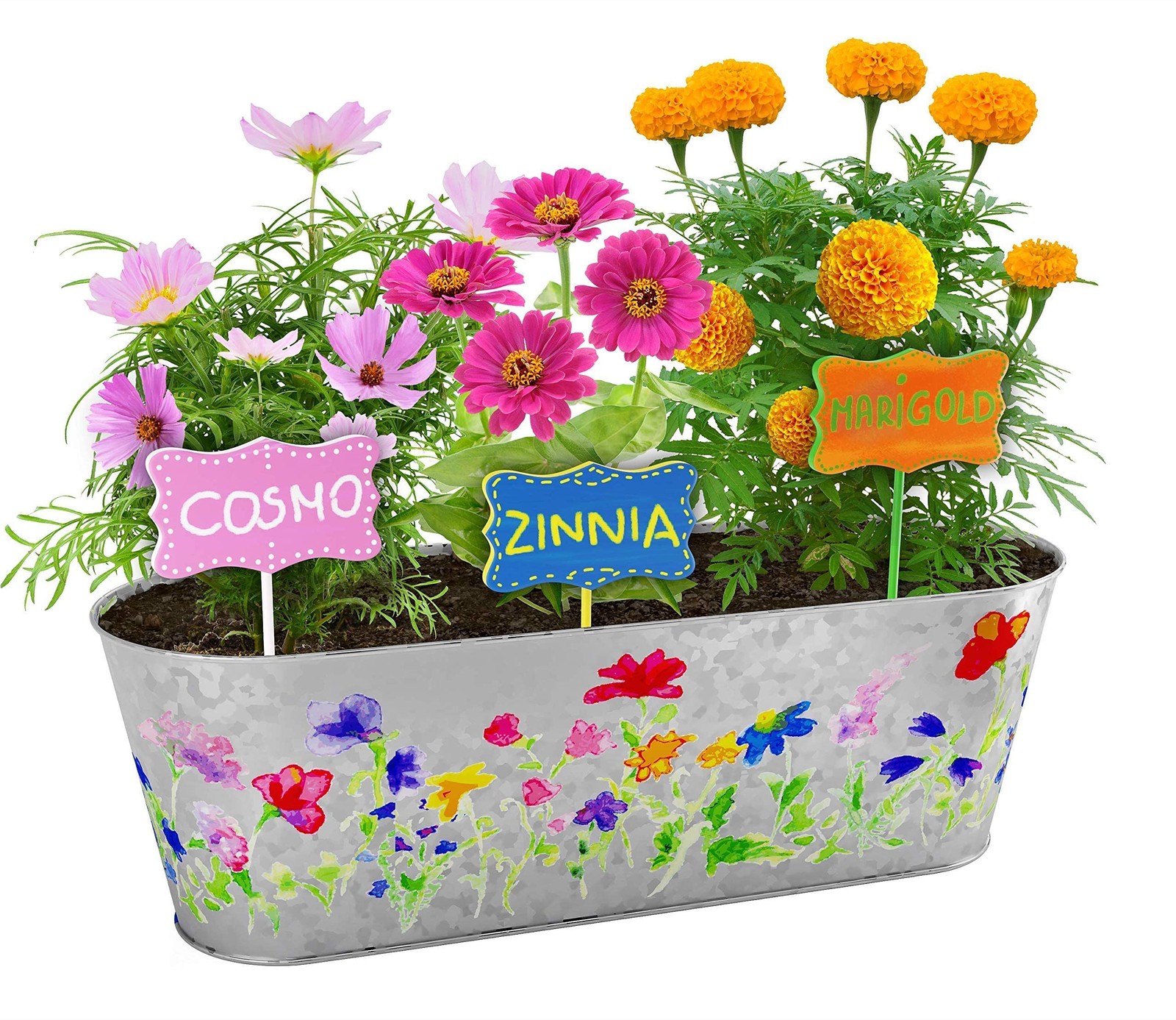 Paint & Plant Flower Growing Kit for Kids – 12 x 4.5 x 4 inches, Multi-color