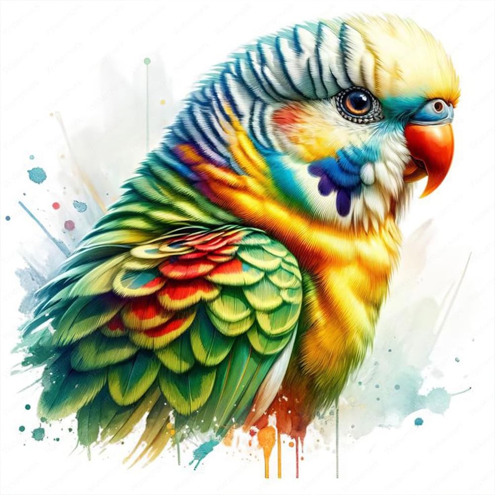 Anuver Parrot Diamond Art Kits for Adults, Full Drill Multicolor